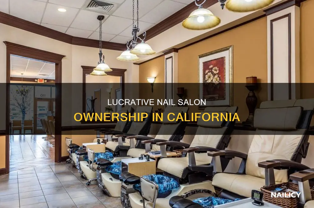 how much does a nail salon owner make in california