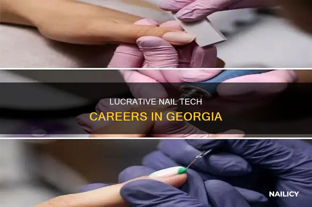 how much does a nail tech make in georgia