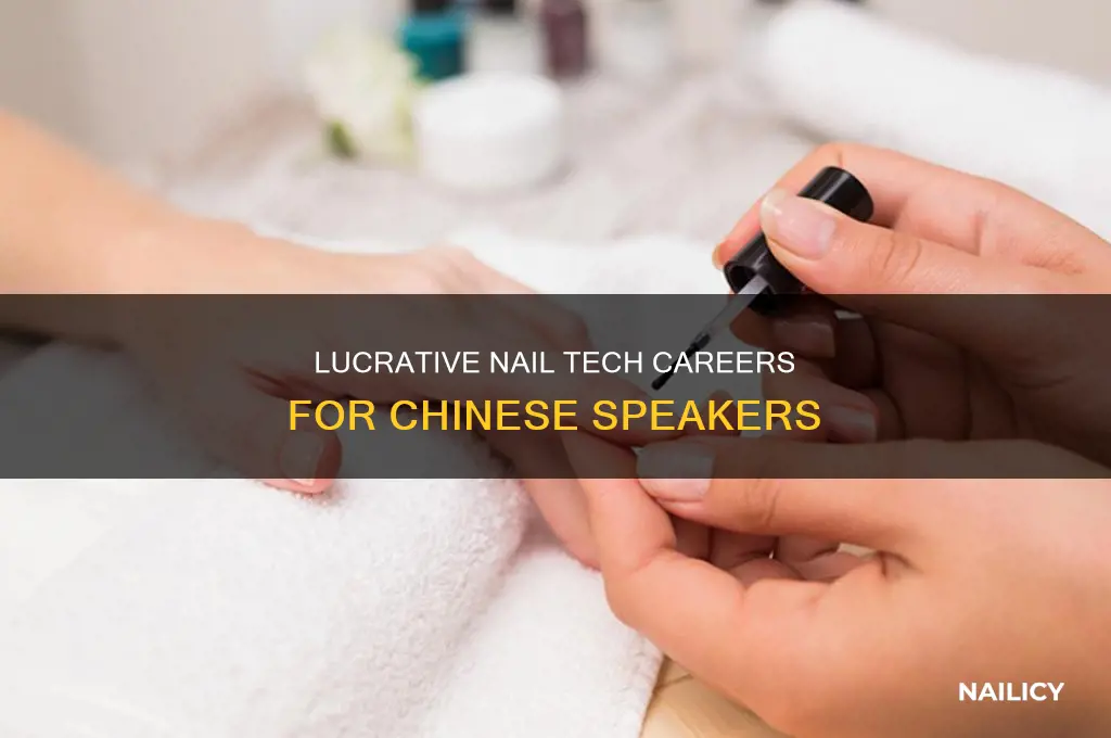 how much does a nail technician chinese make
