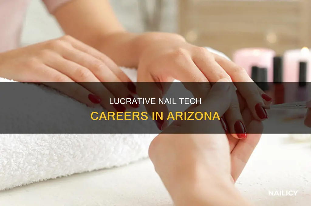 how much does a nail technician make in arizona