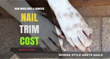Sedated Nail Trims: Cost and Calming Your Pet