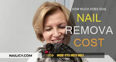 Dog Nail Removal: Understanding the Cost of the Procedure