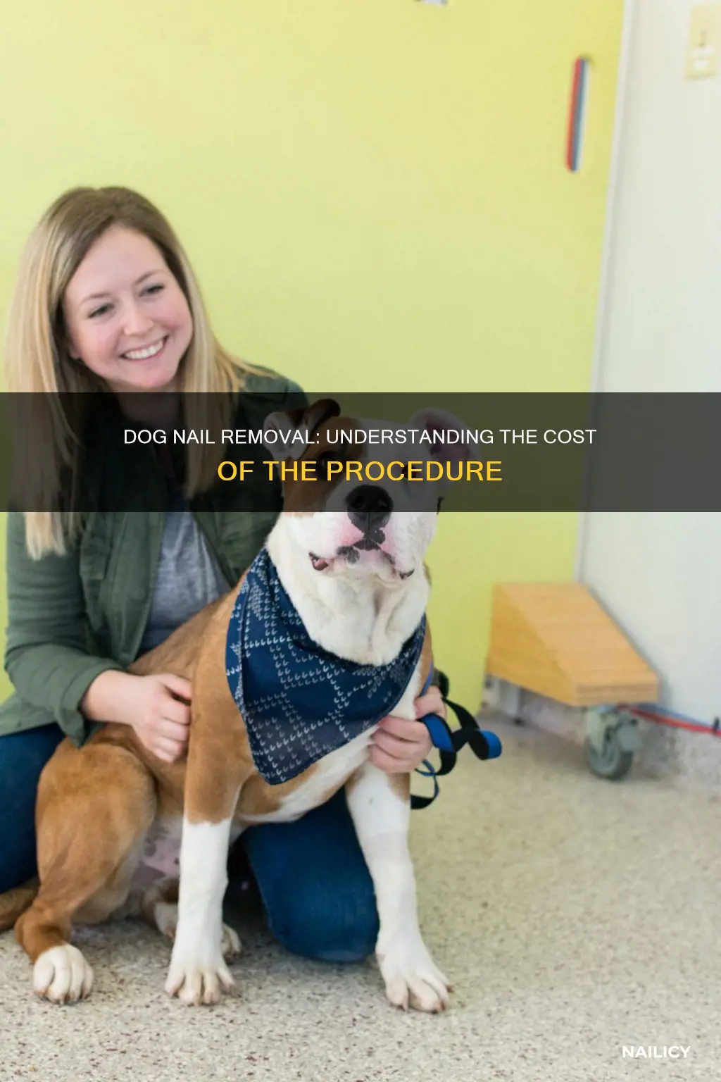 how much does dog nail removal cost