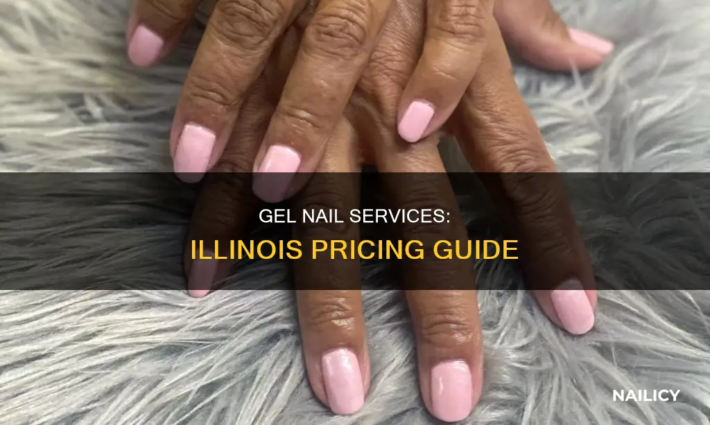 how much does gel nail services cost in illinois