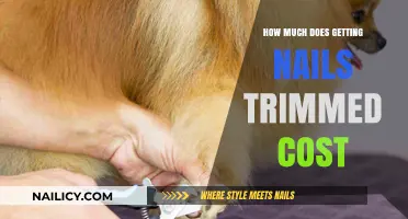 Budgeting for Beauty: The Cost of Nail Trimming Services