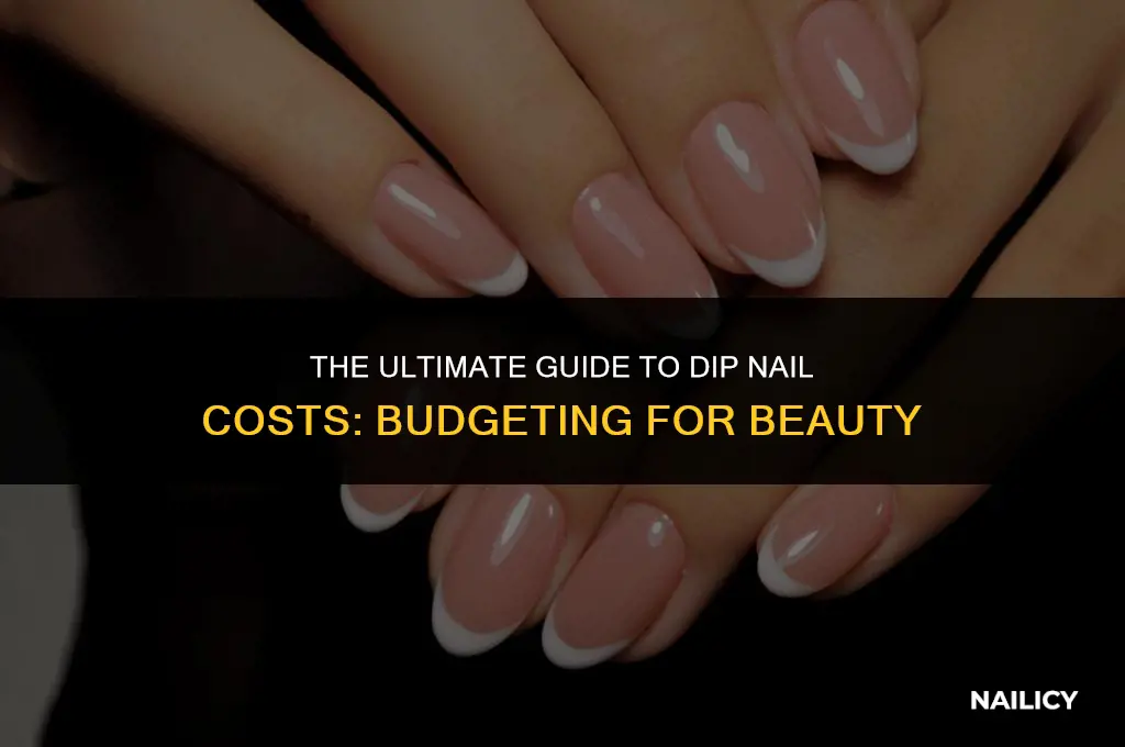 how much does getting your nails dipped cost