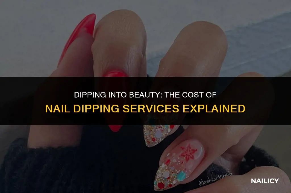 how much does ir cost to get your nails dipped