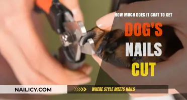 Pampering Your Pup: The Cost of Dog Nail Trimming Services