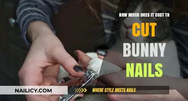 Bunny Nail Trimming: Cost and Care