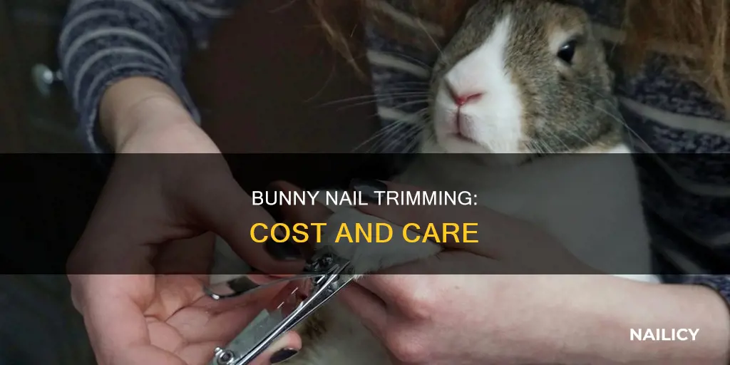 how much does it cost to cut bunny nails