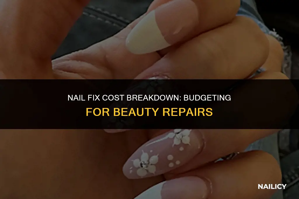 how much does it cost to get a nail fixed