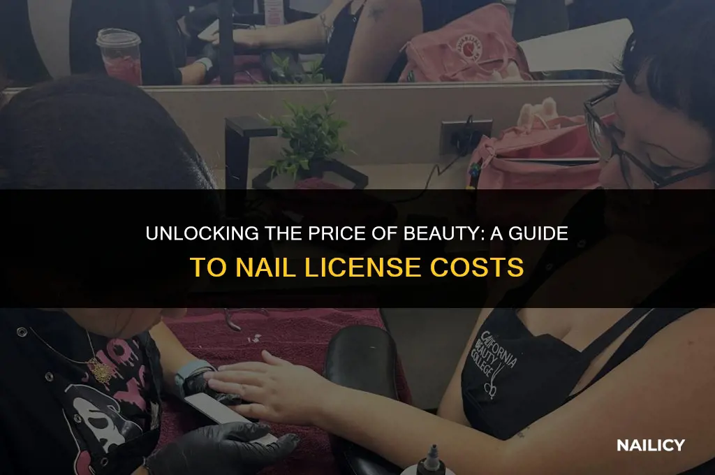 how much does it cost to get a nail license