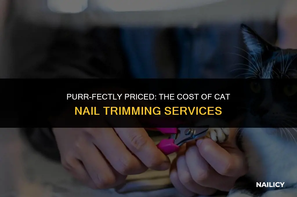how much does it cost to get cat nails cut
