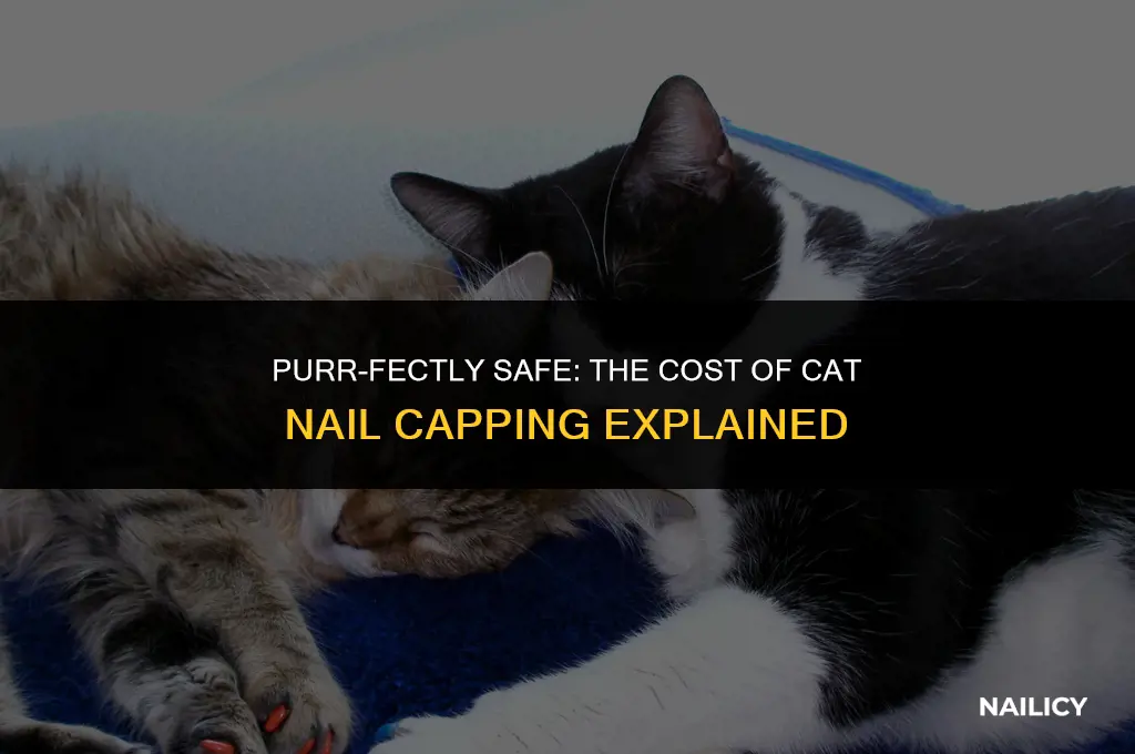 how much does it cost to get cats nails capped