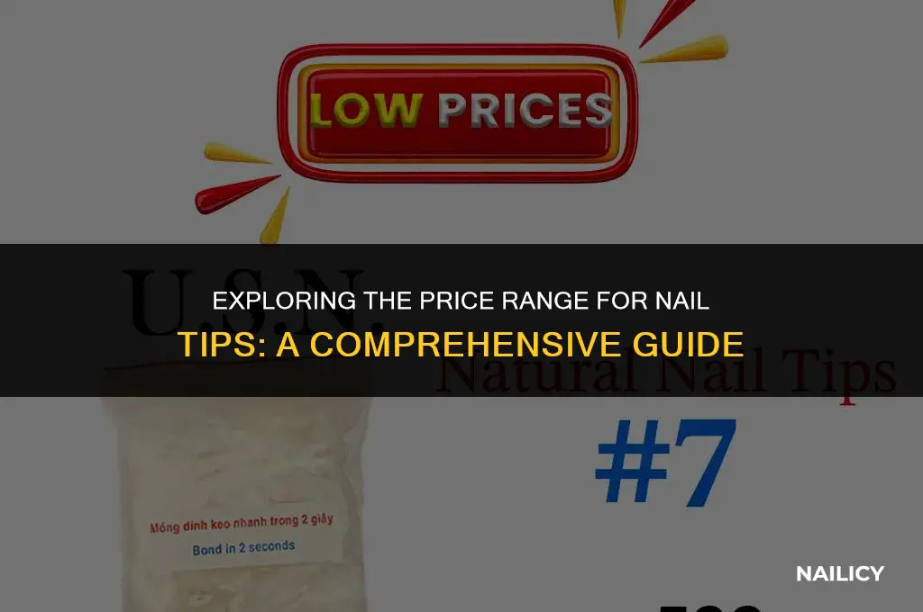 how much does it cost to get nail tips