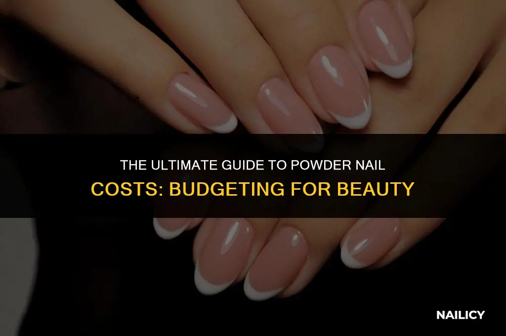 how much does it cost to get powder nails