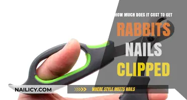 Bunny Grooming on a Budget: Affordable Nail Clipping Options