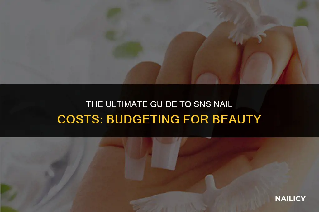 how much does it cost to get sns nails