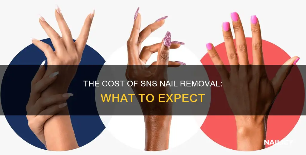 how much does it cost to have sns nails removed