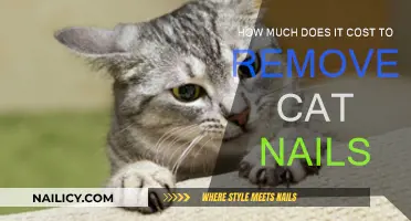 The Cost of Cat Claw Clipping: What to Expect