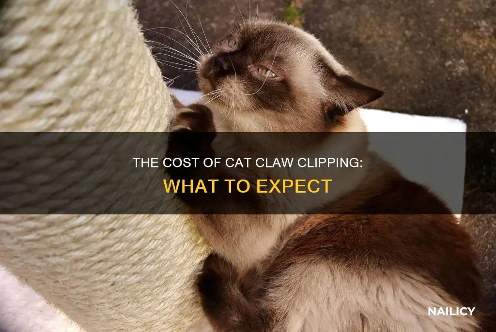 Photo inspiration: Picture Idea: The Cost Of Cat Claw Clipping What To Expect