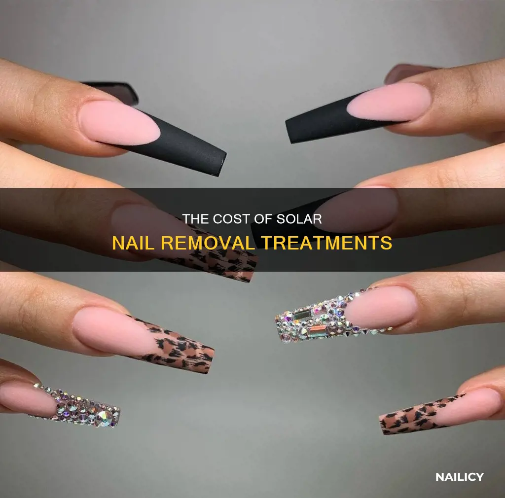 how much does it cost to remove solar nails