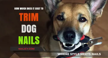 Trimming Dog Nails: What's the Cost?