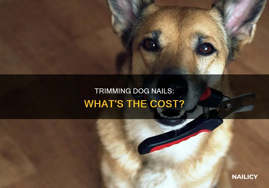 how much does it cost to trim dog nails