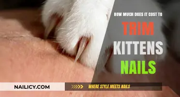 Trimming Kittens' Nails: What's the Cost?