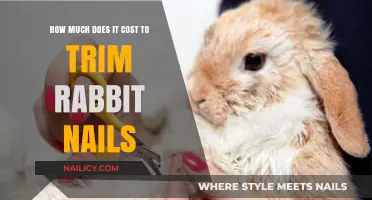 Trimming Rabbit Nails: The Cost of Convenience
