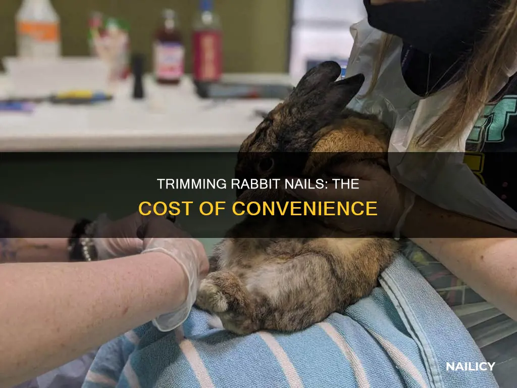 how much does it cost to trim rabbit nails