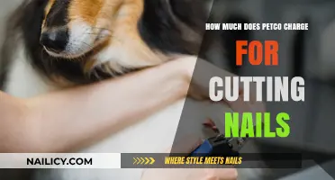 Petco Nail Clipping Services: What's the Cost?