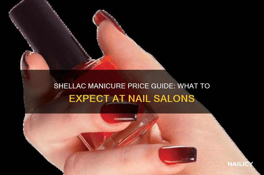 how much does shellac cost at a nail salon