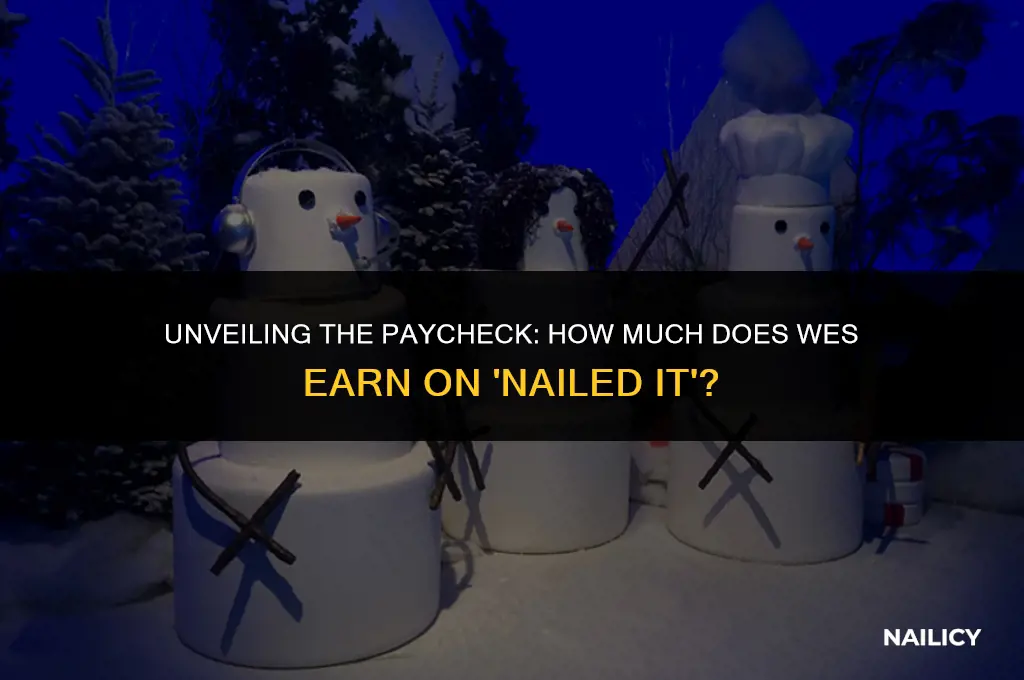 how much does wes get paid on nailed it