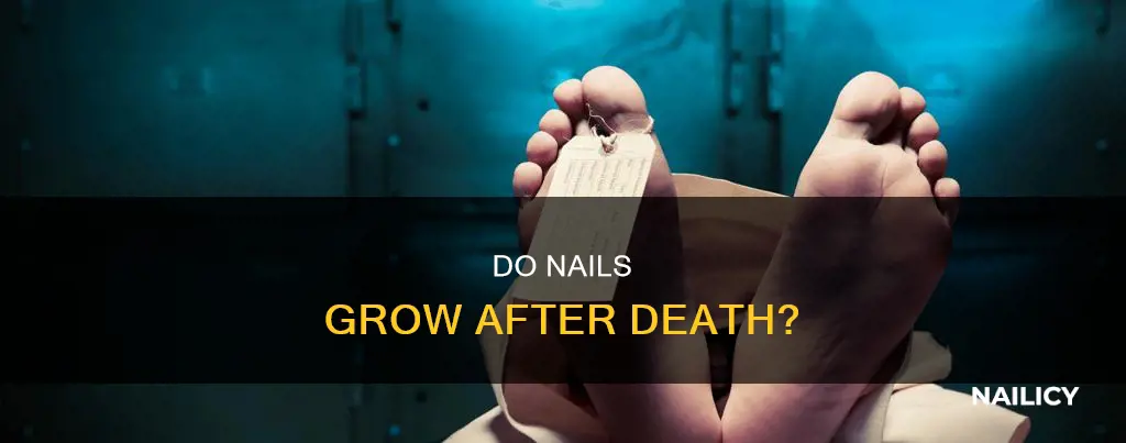 how much does your nails grow after you die
