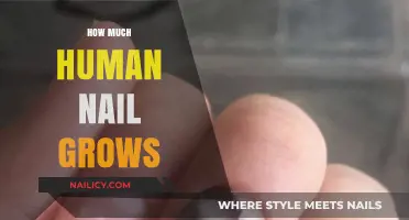 Nail Growth: How Fast Do Human Nails Grow?