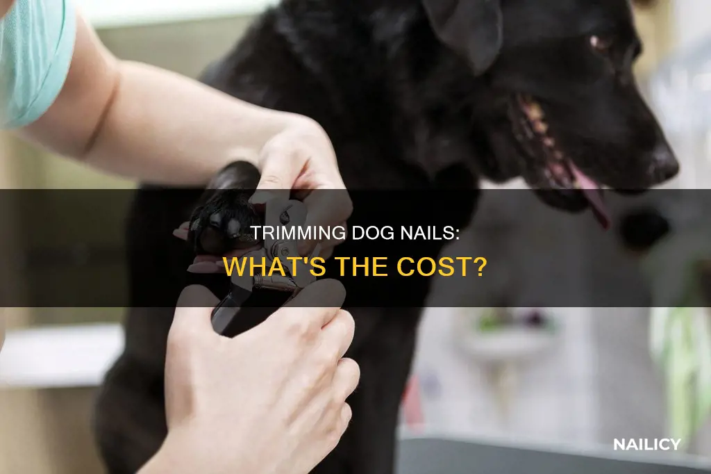 how much iis it to trim dogs nails