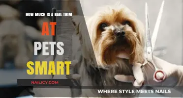 Smart Pet Owners: Nail Trims at PetSmart Cost How Much?