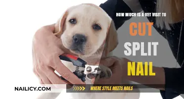 Vet Visit Costs for Trimming Your Pet's Nails