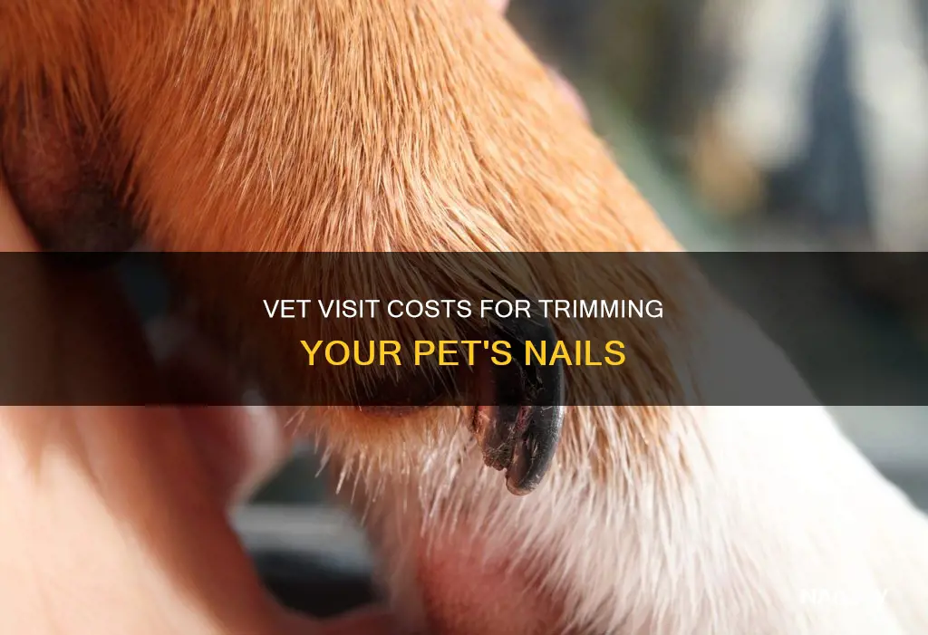 how much is a vet visit to cut split nail