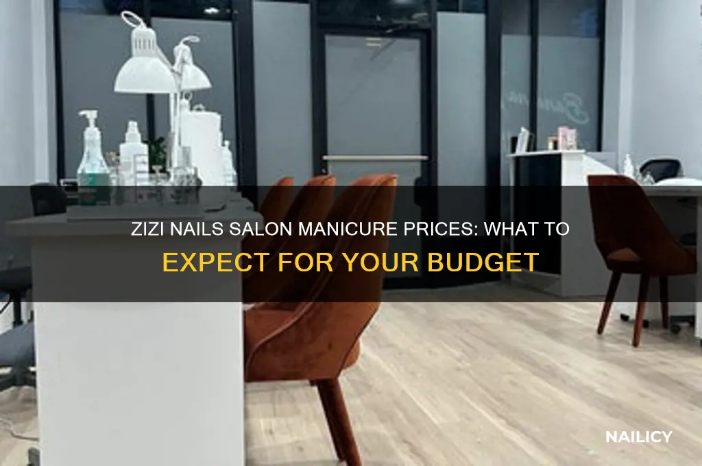 how much is at manicure at zizi nails salon