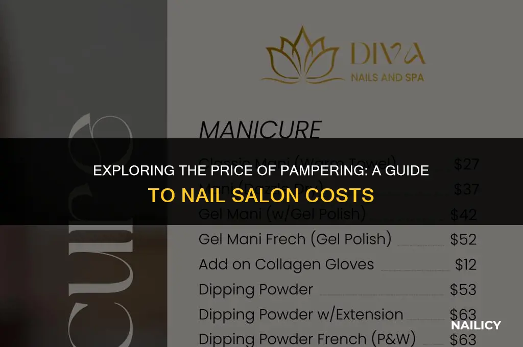 how much is cost to get nail salon