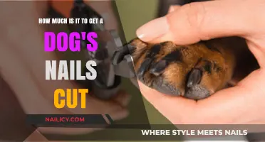 Pampering Your Pup: The Cost of Dog Nail Trimming Services