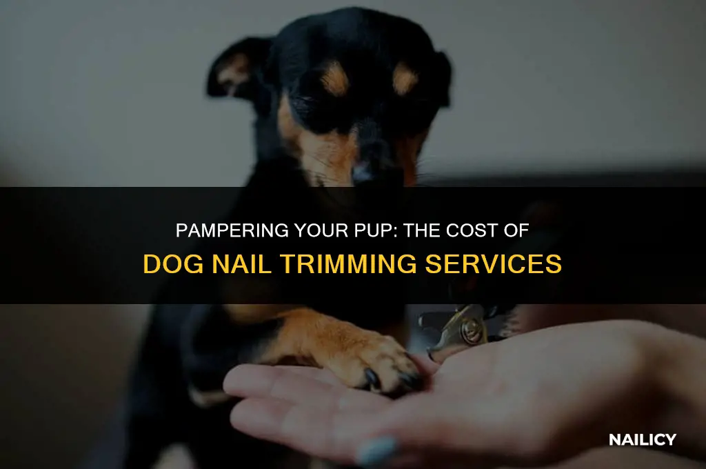 how much is it to get a dog
