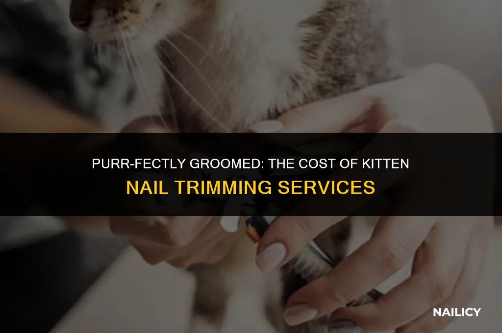 how much is it to get kittens nails trimmed