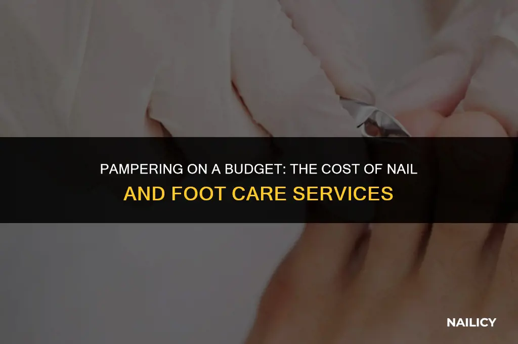 how much is it to get nails and feet done