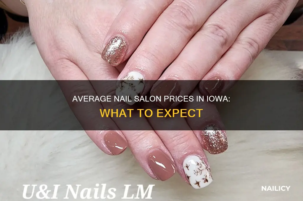how much is the average nail salon visit in iowa