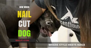 Trimming Dog Nails: How Much is Too Much?