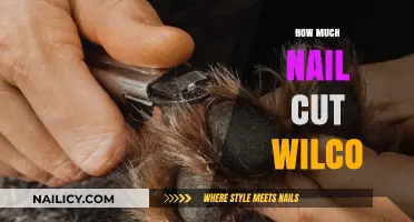 Trimming Nails: Wilco's Nail Cut Costs