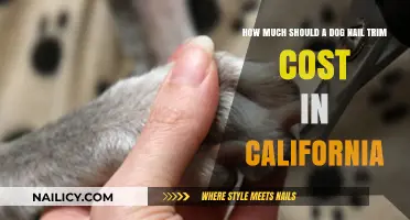Nail Trimming Costs for Dogs in California: A Guide